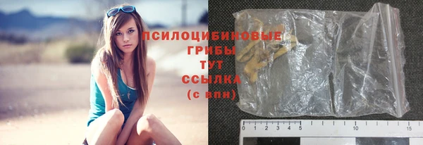 экстази Белокуриха